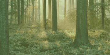 Realistic Charlotte Mason : The Benefits of Short Lessons in the Charlotte Mason Method